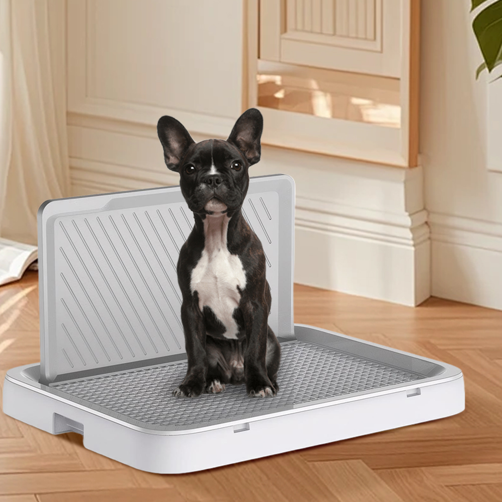 Dog Potty Tray with Pee Wall T - Bench Dog Hole review and price