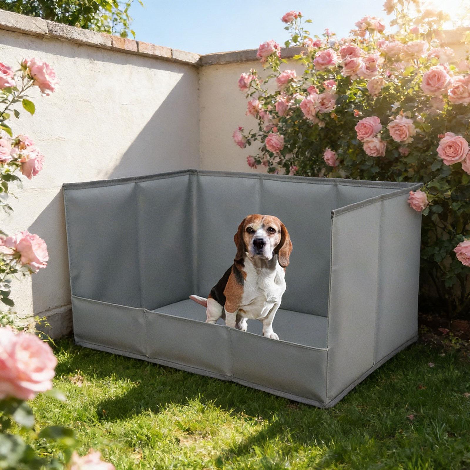 Portable Indoor Dog Potty Tray - Bench Dog Hole review and price