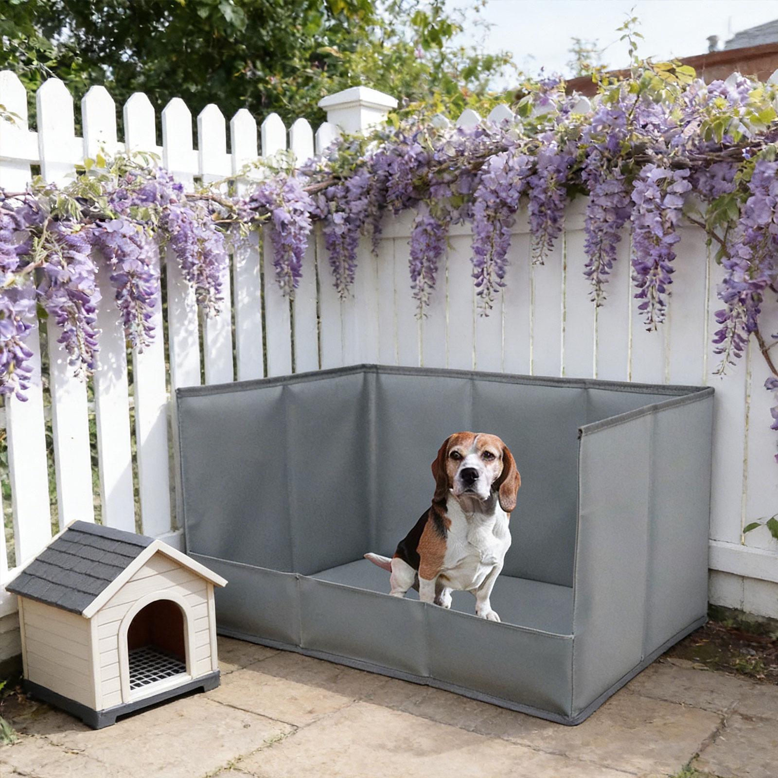 Portable Indoor Dog Potty Tray - Bench Dog Hole review and price