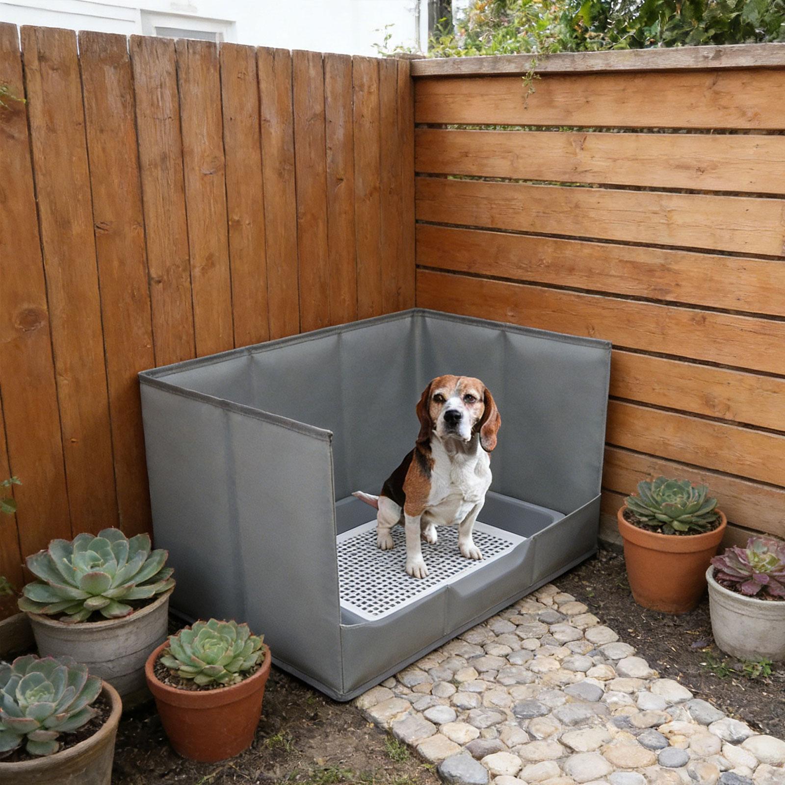 Portable Indoor Dog Potty Tray - Bench Dog Hole review and price